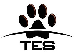 TES Logo